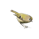 creation dessin panneaux