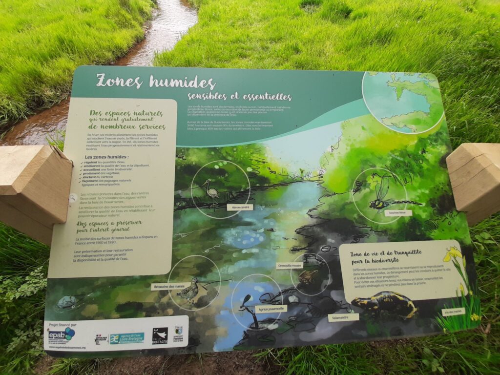 Panneau de presentation général d'une zone humide avec les animaux et végétaux présents sur le site