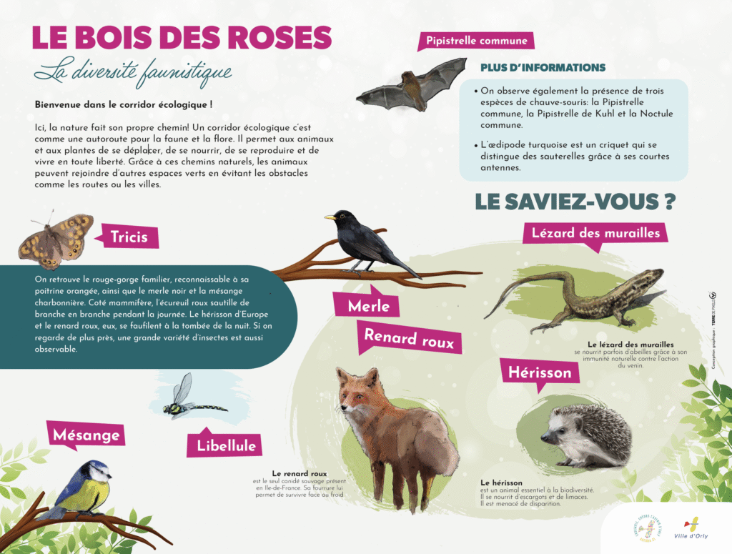Panneau de présentation de animaux présents dans le Bois des Roses