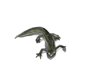 illustration triton palmé