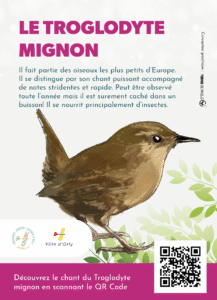 panneaux informatifs : Le Troglodyte Mignon