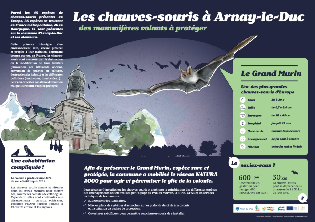 Panneau pédagogique chiroptères