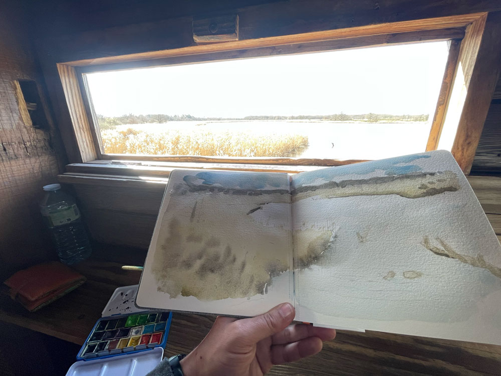 Illustration en cours d'en ambiance de marais dans la Brennes depuis un observatoire à oiseaux